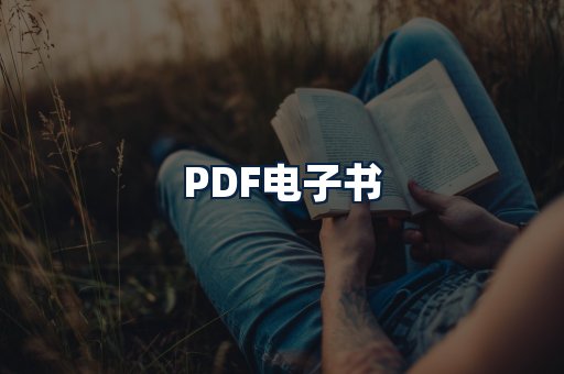 PDF电子书